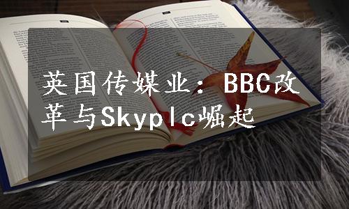 英国传媒业：BBC改革与Skyplc崛起