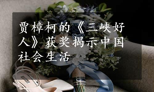 贾樟柯的《三峡好人》获奖揭示中国社会生活