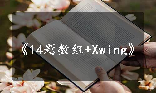 《14题数组+Xwing》