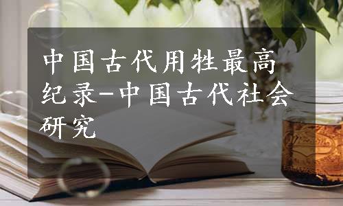 中国古代用牲最高纪录-中国古代社会研究