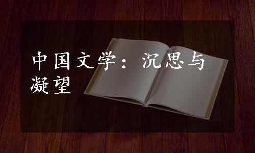 中国文学：沉思与凝望