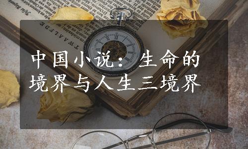 中国小说：生命的境界与人生三境界