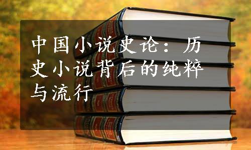 中国小说史论：历史小说背后的纯粹与流行