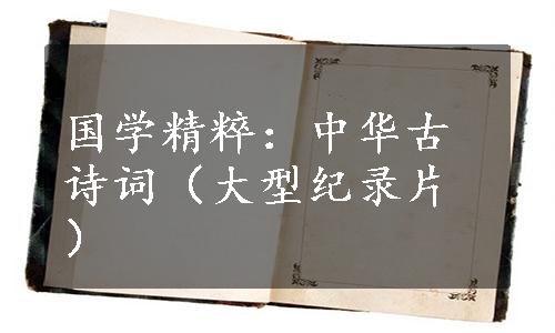 国学精粹：中华古诗词（大型纪录片）