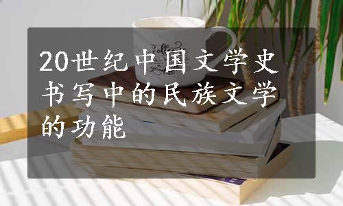 20世纪中国文学史书写中的民族文学的功能